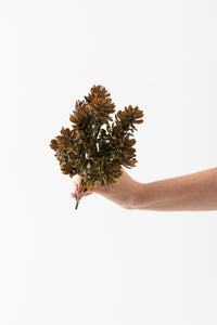 Yapay Çam Demeti 30 Cm 5 Dal