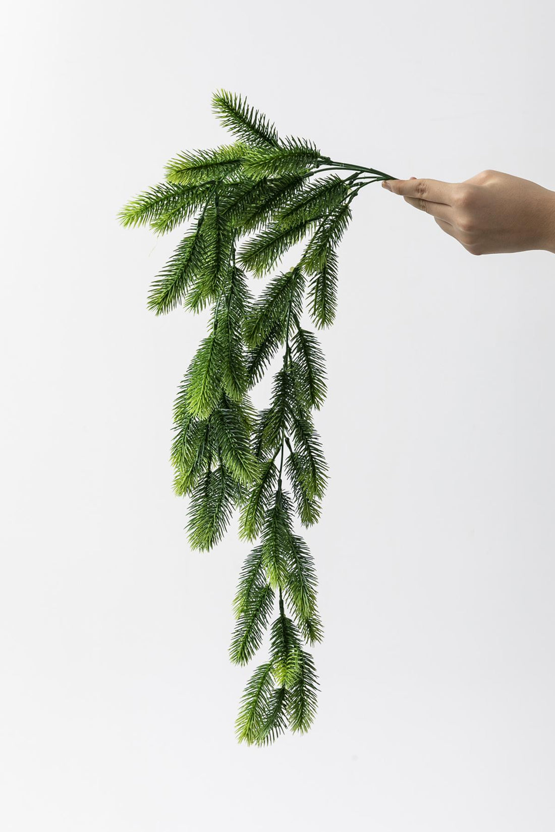 Yapay Çam Sarmaşık Uv Korumalı 75 Cm 5 Dal