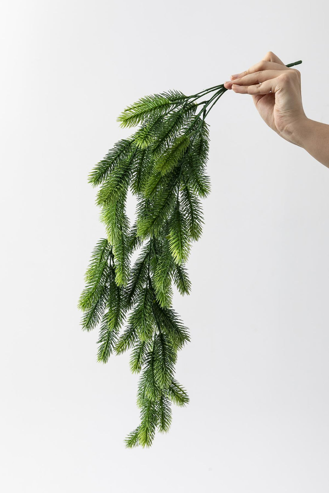 Yapay Çam Sarmaşık Uv Korumalı 75 Cm 5 Dal