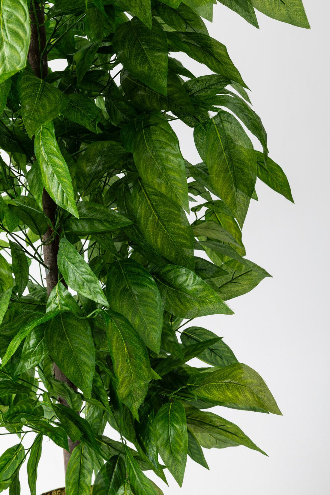 Yapay Ceviz Ağacı 180 Cm