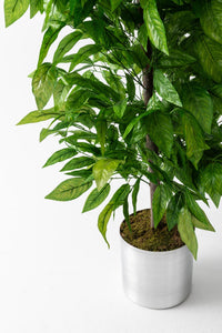 Yapay Ceviz Ağacı 200 Cm