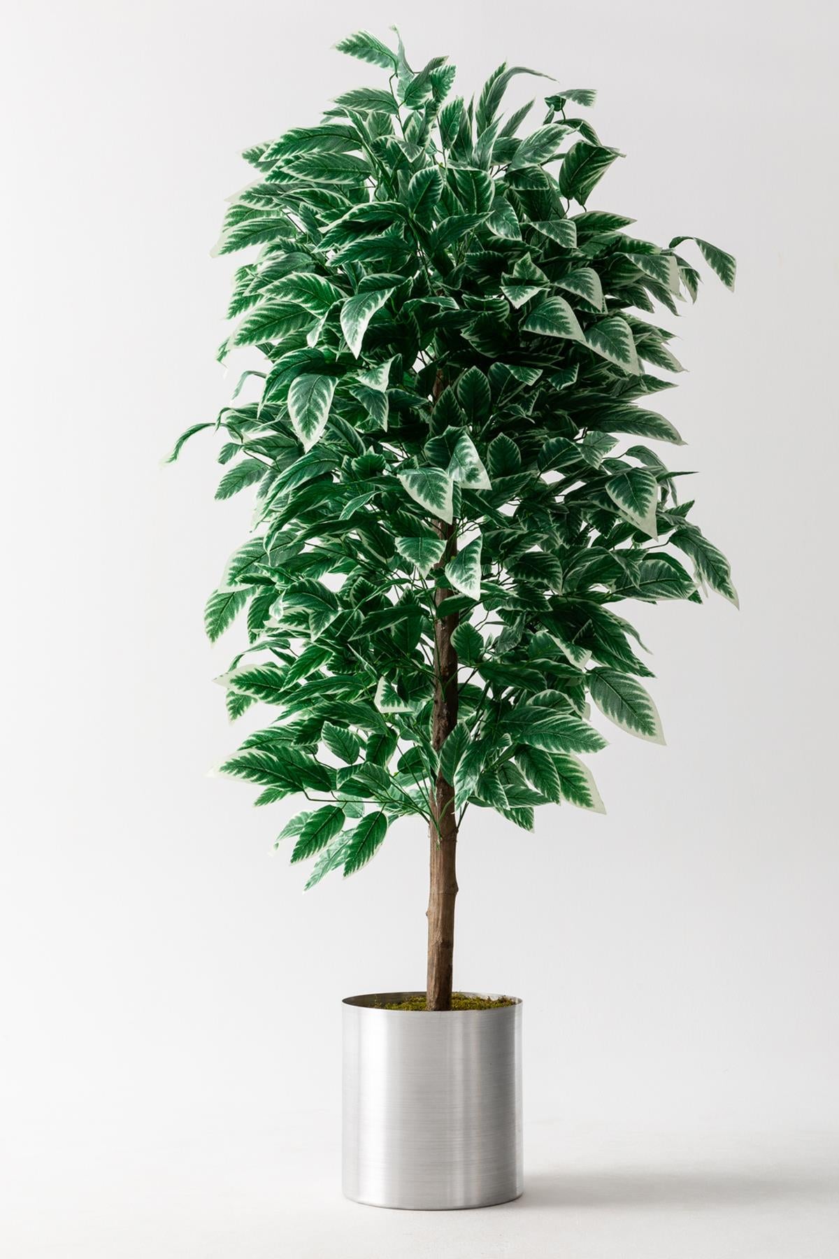 Yapay Ceviz Ağacı Beyaz 180 Cm