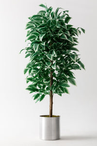 Yapay Ceviz Ağacı Beyaz 180 Cm