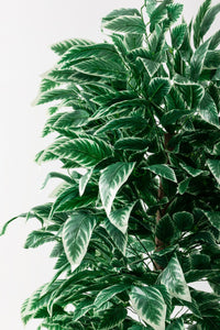 Yapay Ceviz Ağacı Beyaz 180 Cm