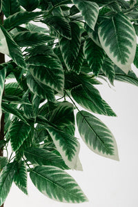 Yapay Ceviz Ağacı Beyaz 180 Cm