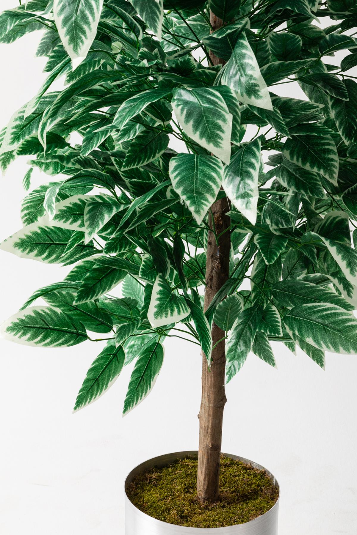 Yapay Ceviz Ağacı Beyaz 200 Cm