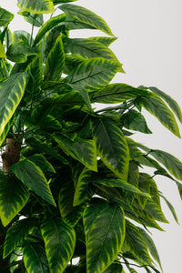 Yapay Ceviz Ağacı Sarı 180 Cm