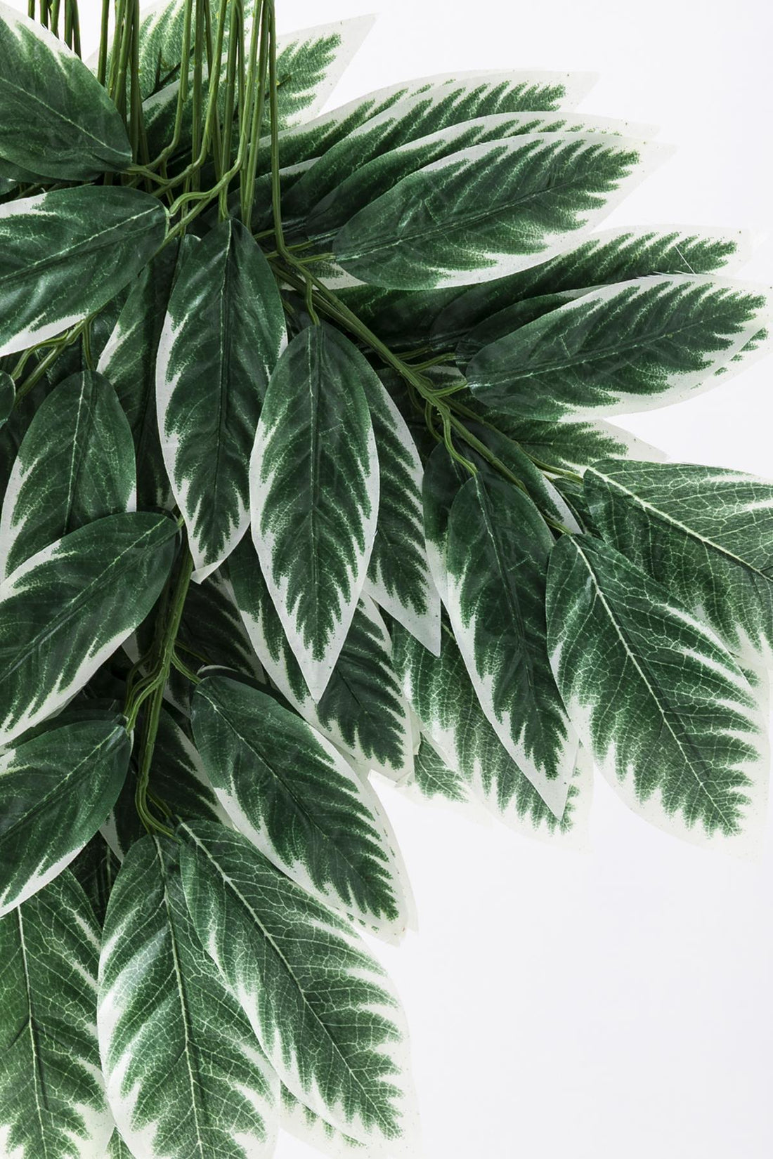 Yapay Ceviz Yaprağı 12&