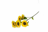 Yapay Çiçek Ayçiçeği (Sunflower) 100 Cm 5 Dal