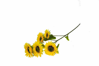 Yapay Çiçek Ayçiçeği (Sunflower) 100 Cm 5 Dal