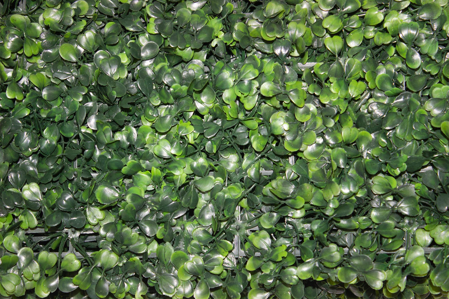 Yapay Çiçek Duvar Kaplama Panel Şimşir Tabaka 40x60 Cm Yeşil Dikey Bahçe 10 Adet