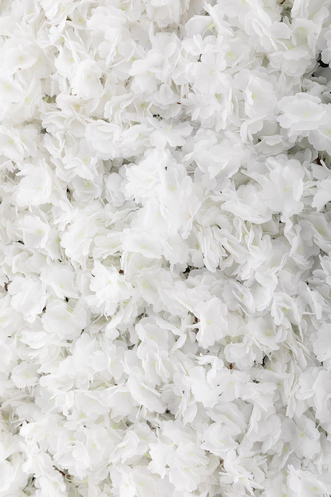 Yapay Çiçek Duvarı 100x100 Beyaz