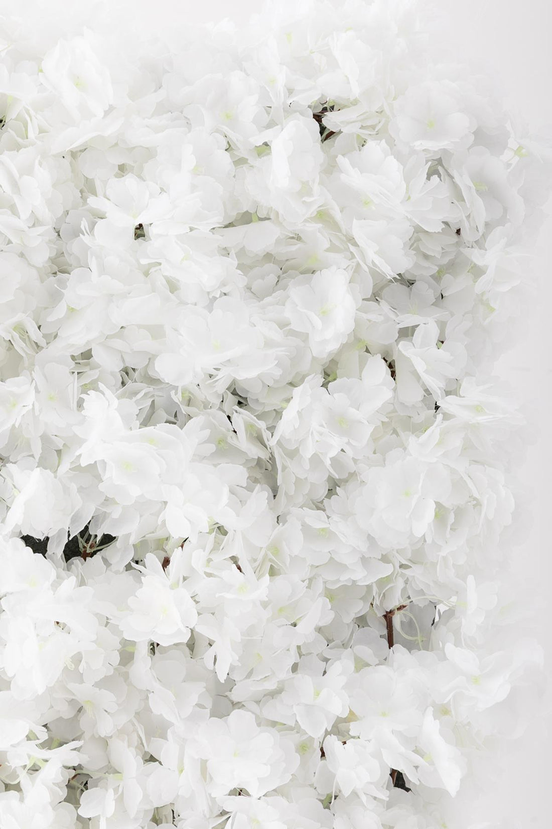 Yapay Çiçek Duvarı 100x100 Beyaz