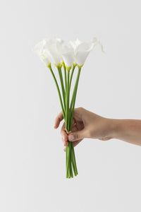 Yapay Çiçek Islak Gerçekçi Doku Gala Çiçeği 8 Dal