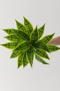 Yapay Çiçek Kılıç Yaprak Aglaonema Bitkisi