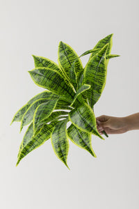 Yapay Çiçek Kılıç Yaprak Aglaonema Bitkisi