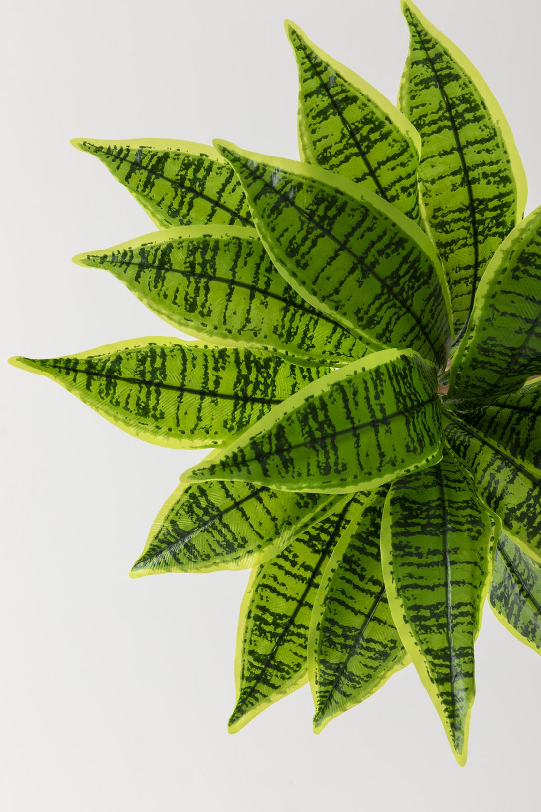 Yapay Çiçek Kılıç Yaprak Aglaonema Bitkisi