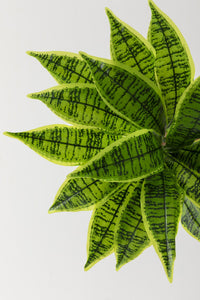 Yapay Çiçek Kılıç Yaprak Aglaonema Bitkisi