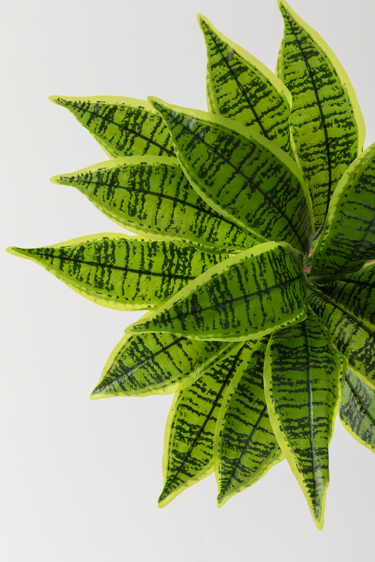 Yapay Çiçek Kılıç Yaprak Aglaonema Bitkisi