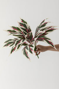 Yapay Çiçek Kılıç Yaprak Renkli