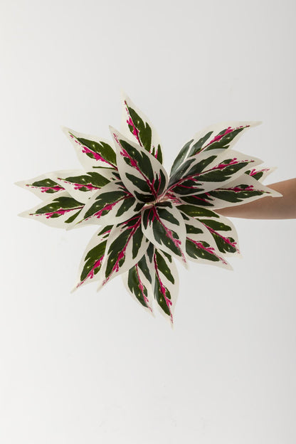 Yapay Çiçek Kılıç Yaprak Renkli