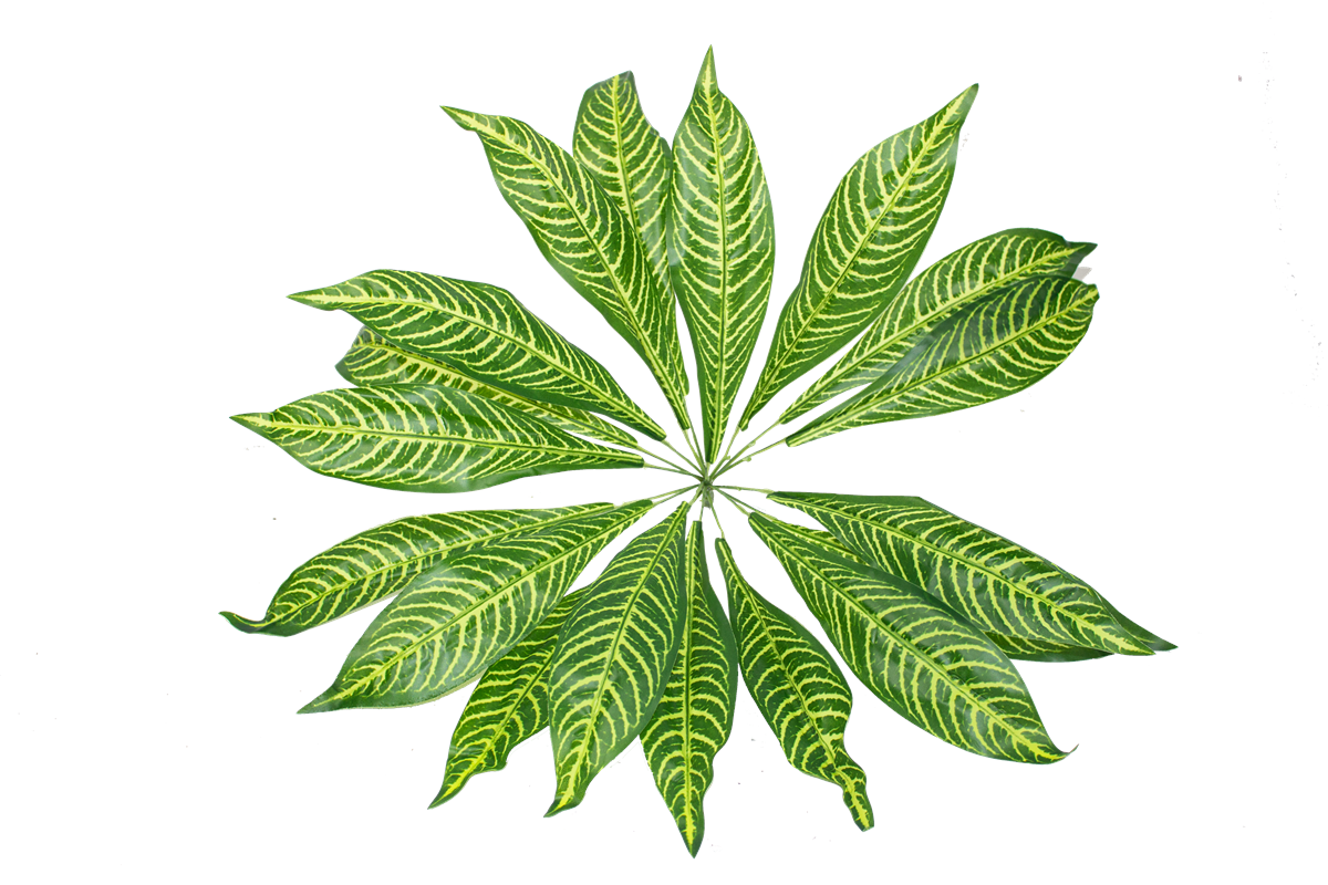 Yapay Çiçek Kılıç Yaprak Yeşil Desenli