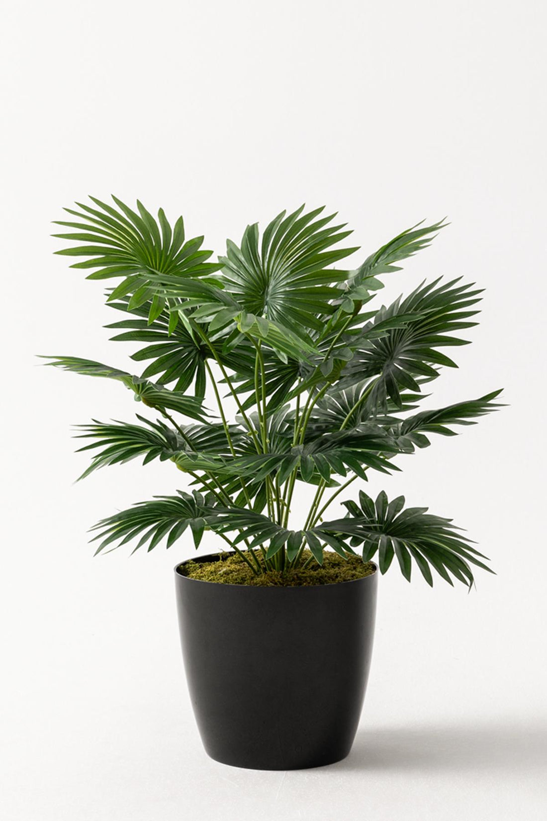 Yapay Çiçek Yelpaze Palmiye 8 Dal 50*35cm Salon Çiçeği Plastik Siyah Saksılı Yapay Bitki