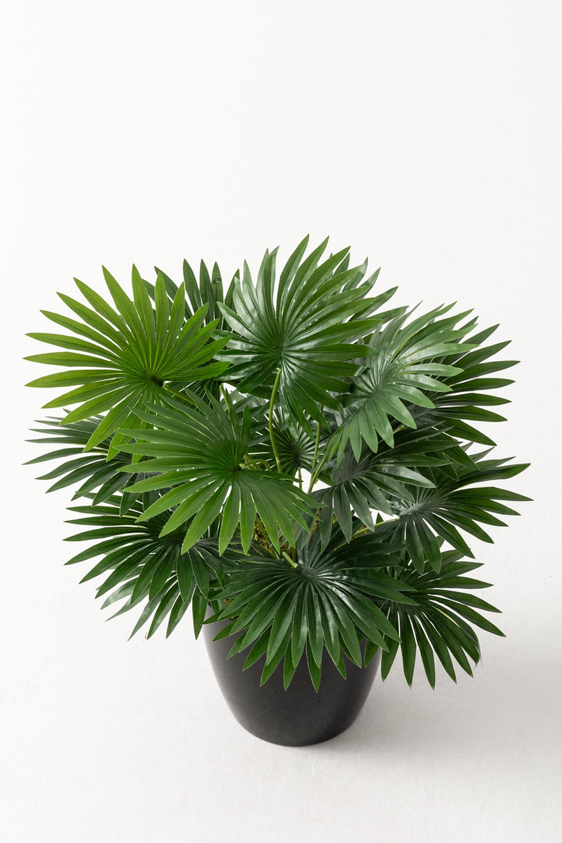 Yapay Çiçek Yelpaze Palmiye 8 Dal 50*35cm Salon Çiçeği Plastik Siyah Saksılı Yapay Bitki