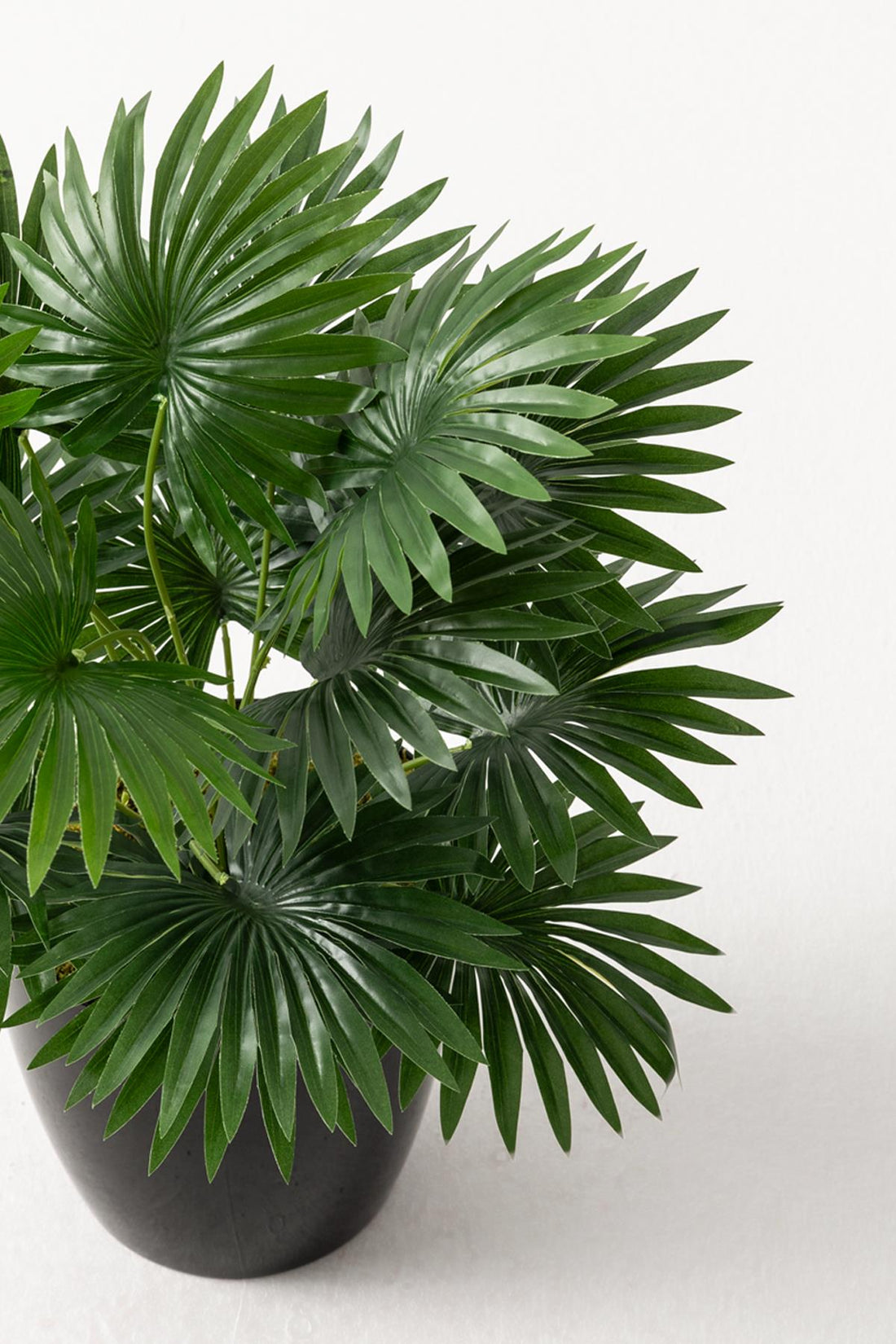 Yapay Çiçek Yelpaze Palmiye 8 Dal 50*35cm Salon Çiçeği Plastik Siyah Saksılı Yapay Bitki