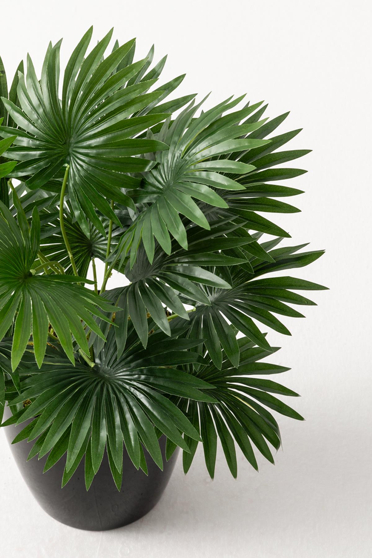 Yapay Çiçek Yelpaze Palmiye 8 Dal 50*35cm Salon Çiçeği Plastik Siyah Saksılı Yapay Bitki