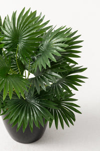 Yapay Çiçek Yelpaze Palmiye 8 Dal Salon Çiçeği(Saksısız)