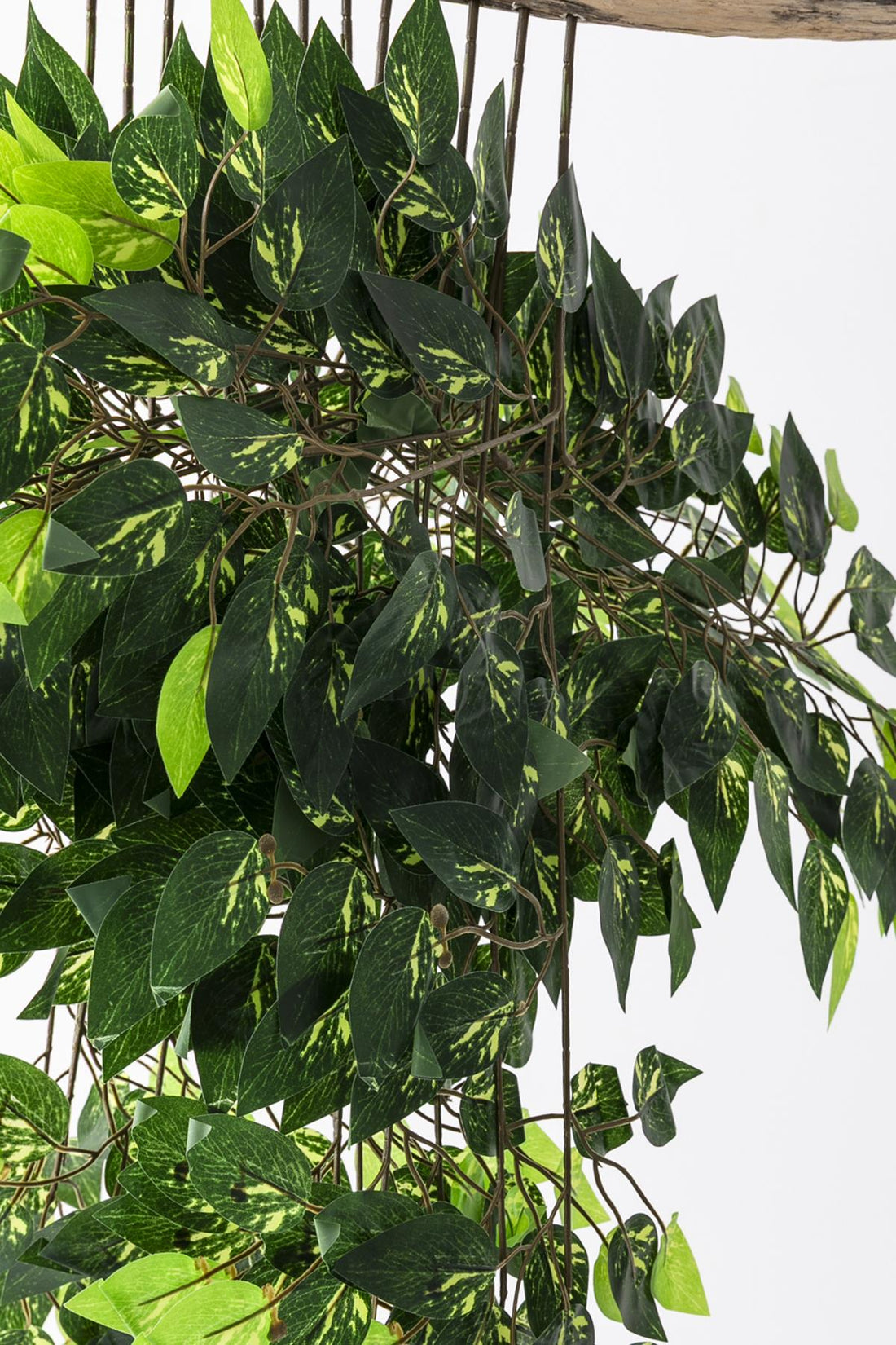 Yapay Desenli Benjamin Yaprağı Demet 12&