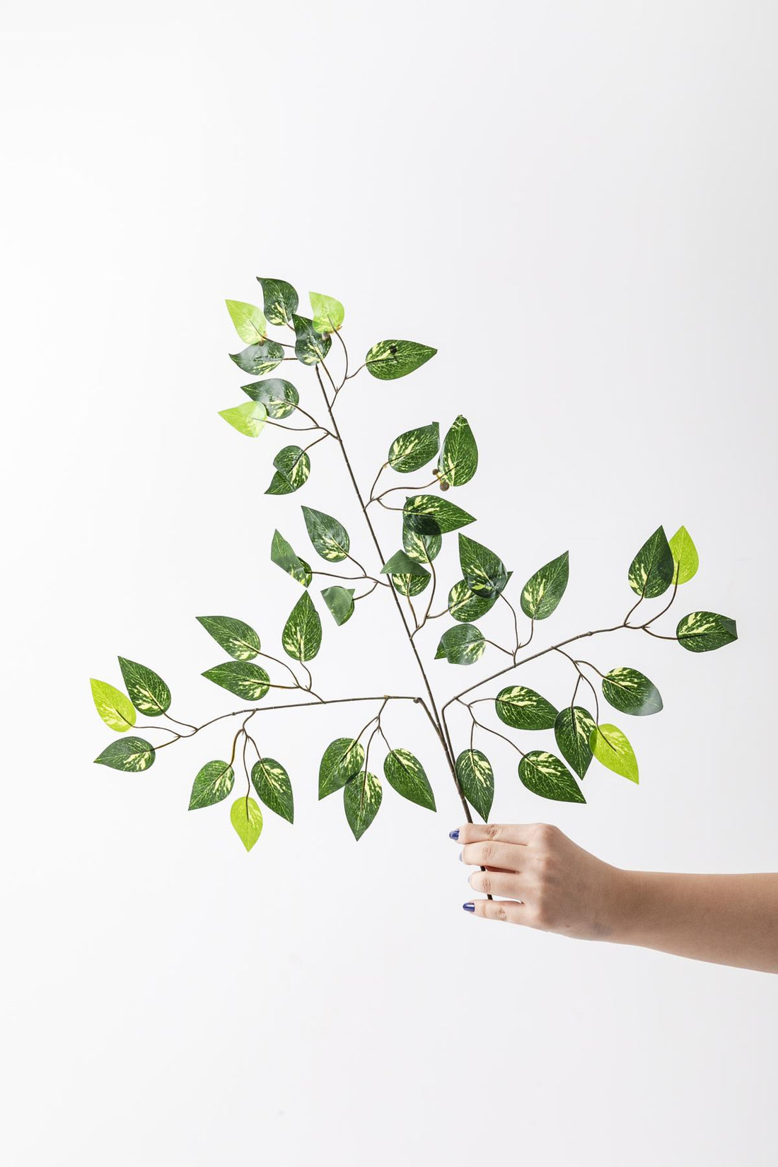 Yapay Desenli Benjamin Yaprağı Demet 12&