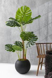 Yapay Deve Tabanı Ağacı 170 Cm Fiber Saksılı