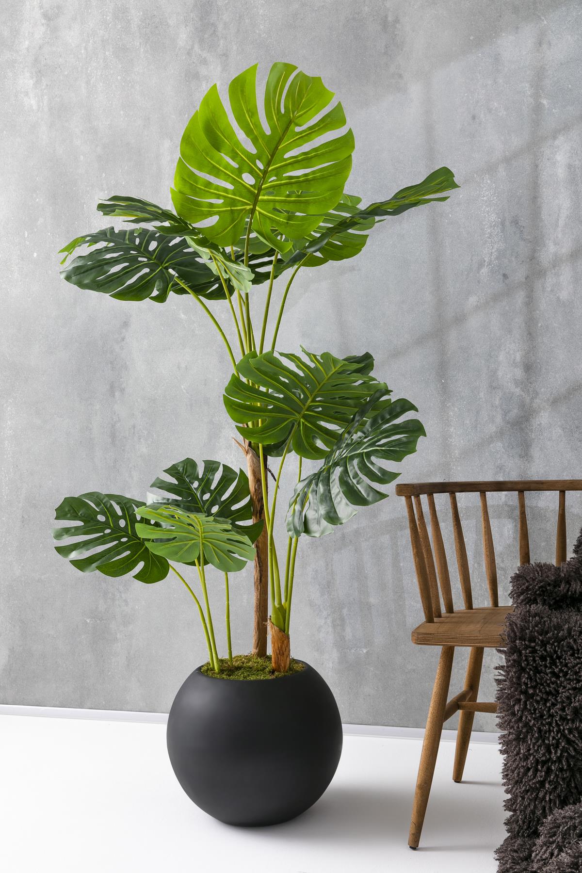 Yapay Deve Tabanı Ağacı 170 Cm Fiber Saksılı