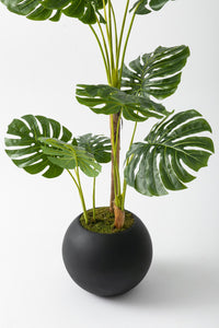 Yapay Deve Tabanı Ağacı 170 Cm Fiber Saksılı