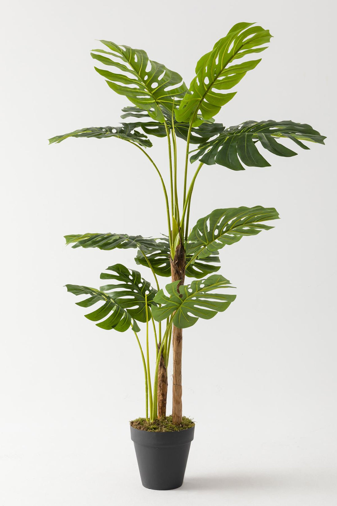 Yapay Deve Tabanı Ağacı (Monstera) 170 Cm