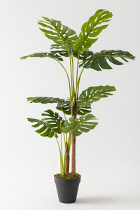 Yapay Deve Tabanı Ağacı (Monstera) 170 Cm