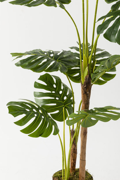 Yapay Deve Tabanı Ağacı (Monstera) 170 Cm