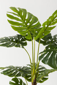 Yapay Deve Tabanı Ağacı (Monstera) 170 Cm