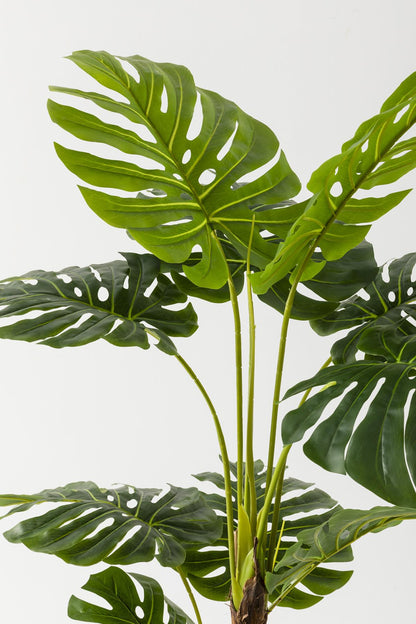 Yapay Deve Tabanı Ağacı (Monstera) 170 Cm
