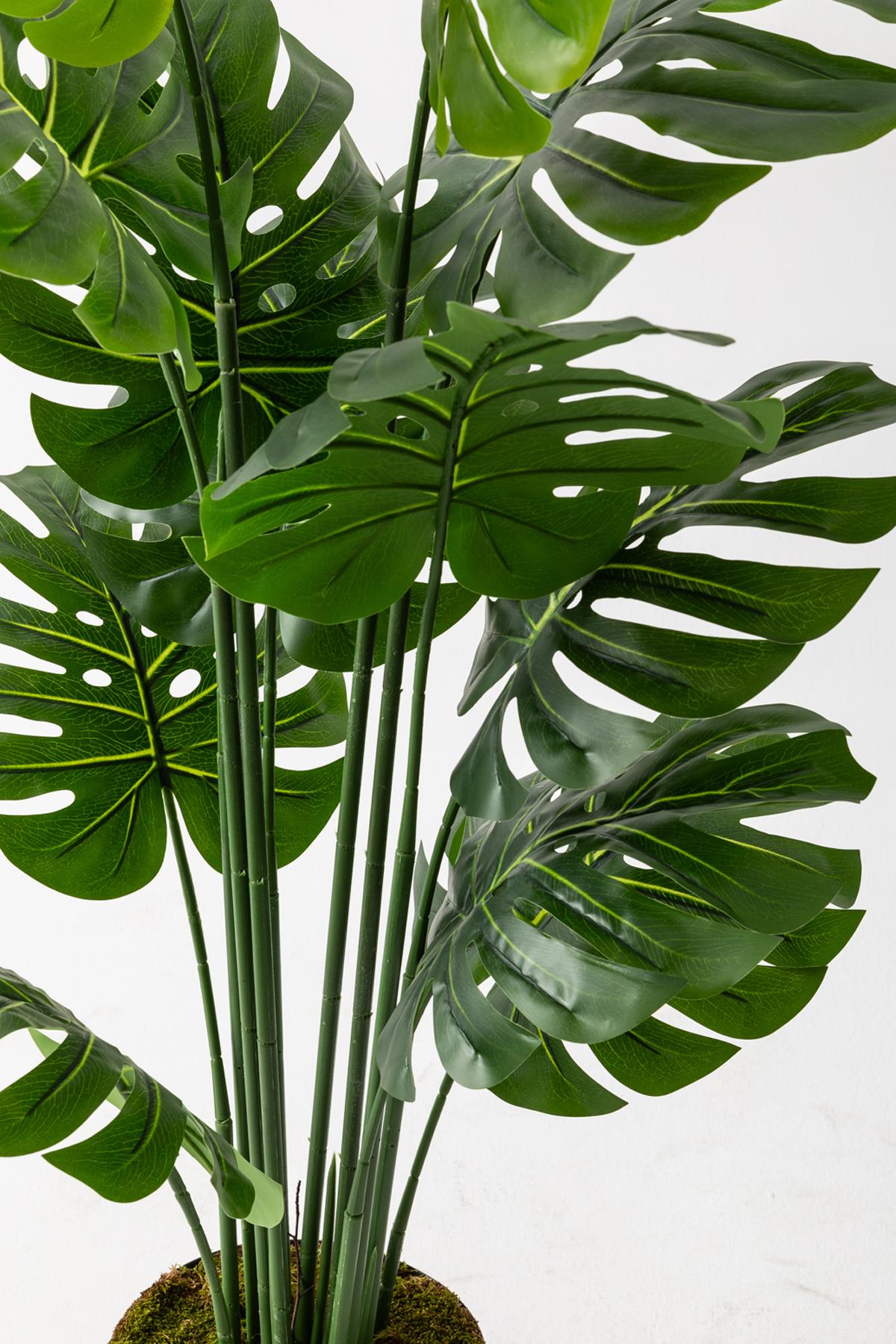 Yapay Deve Tabanı(Monstera) Ağacı 160 Cm