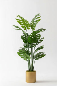 Yapay Deve Tabanı(Monstera) Ağacı