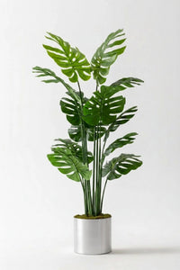Yapay Deve Tabanı(Monstera) Ağacı