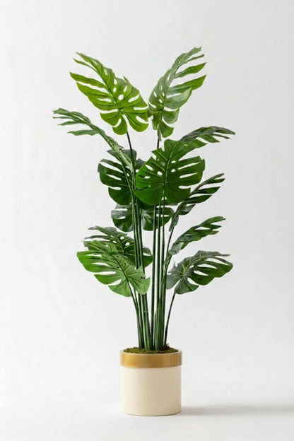 Yapay Deve Tabanı(Monstera) Ağacı
