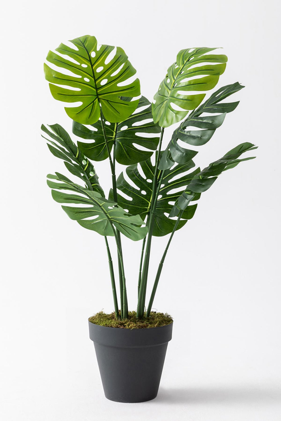 Yapay DeveTabanı(Monstera) Ağacı 100 Cm