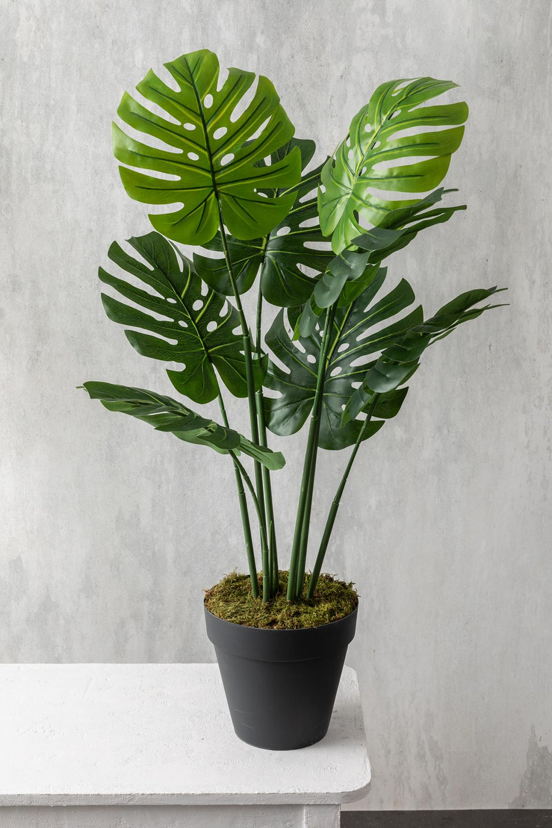 Yapay DeveTabanı(Monstera) Ağacı 100 Cm
