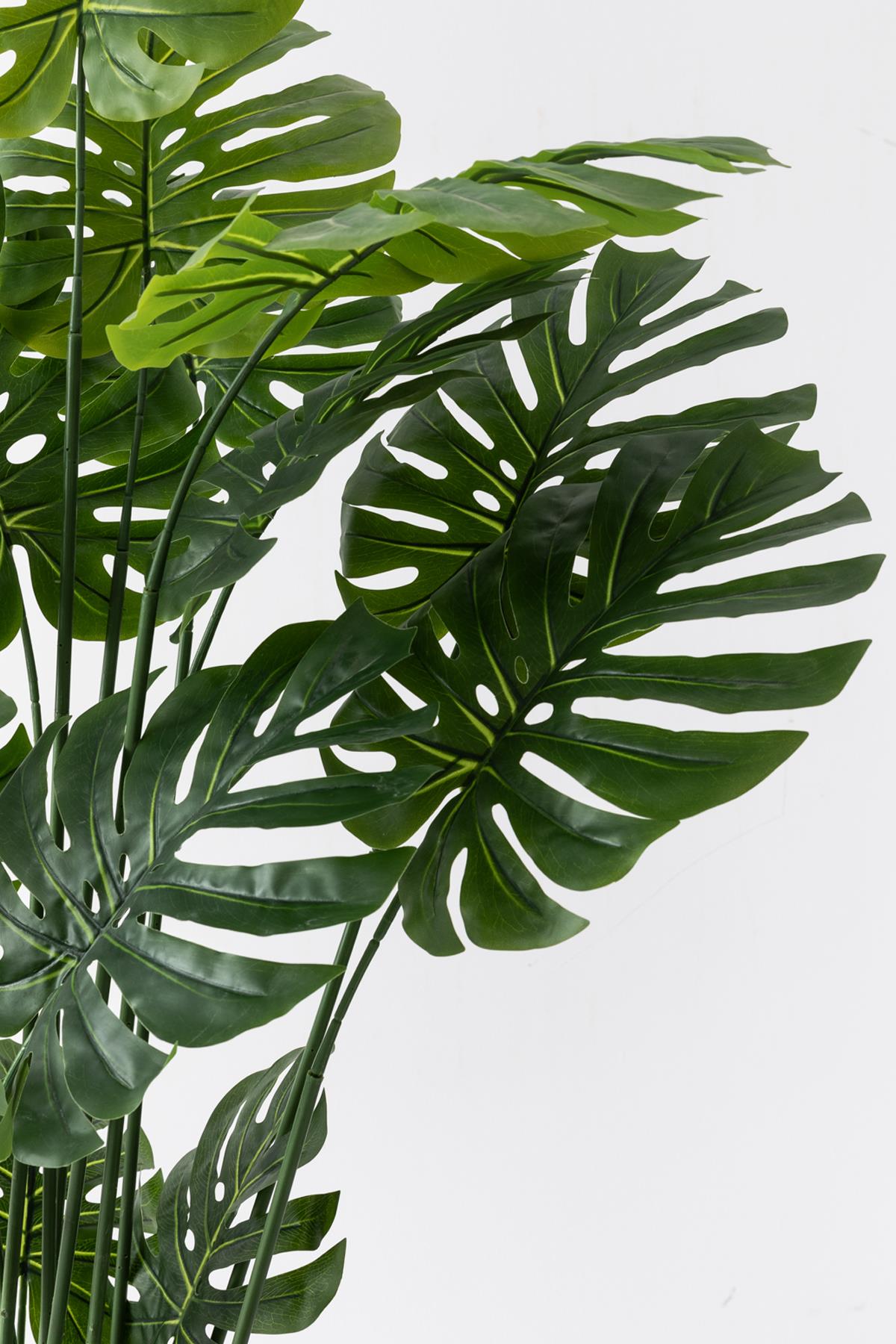 Yapay DeveTabanı(Monstera) Ağacı 200 Cm