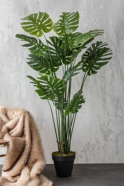 Yapay DeveTabanı(Monstera) Ağacı 200 Cm (Saksısız)