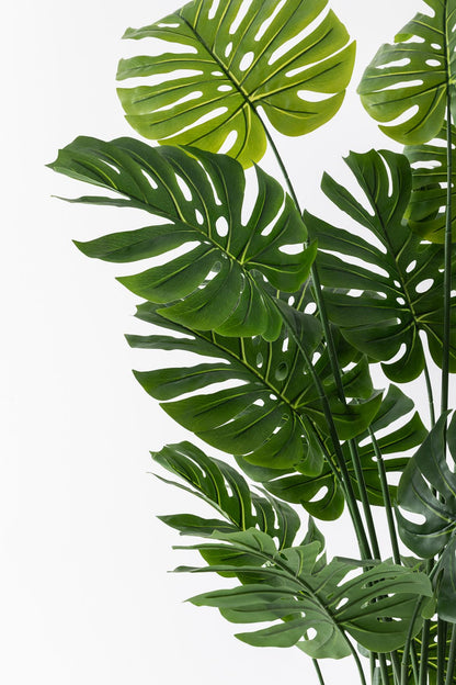 Yapay DeveTabanı(Monstera) Ağacı 200 Cm (Saksısız)